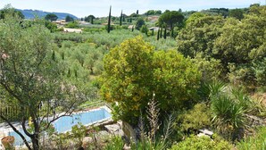 Un jardí exuberant amb una piscina, envoltat de diverses plantes i arbustos.