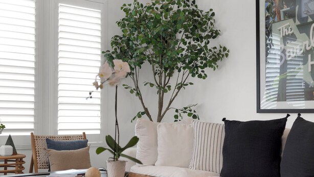 Ein Wohnzimmer mit einem weißen Sofa, einem Couchtisch mit einer Holzdeko und einer großen Grünpflanze.