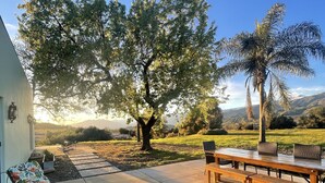 Une terrasse avec un fauteuil et une table en bois, entourée d’arbres et offrant une vue sur le paysage.