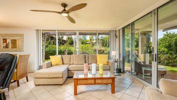 Smart TV, DVD player, books, computer monitors