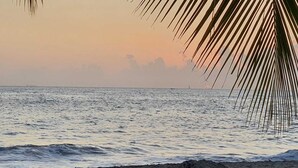在海灘附近