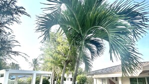 Una piscina con un deck circundante, un patio cubierto y un pequeño jardín con flores rosadas.