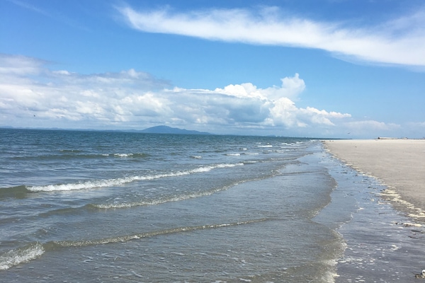 Playa en los alrededores y camastros