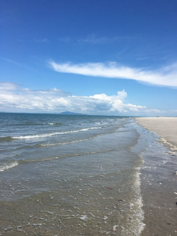 Playa en los alrededores y camastros