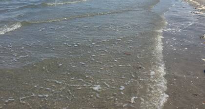 Whole house in Playa Punta Chame with pool and gazebo just steps from the ocean!