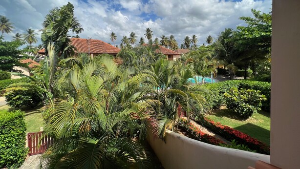 Un jardín tropical con palmeras, una piscina y un edificio de techo rojo.