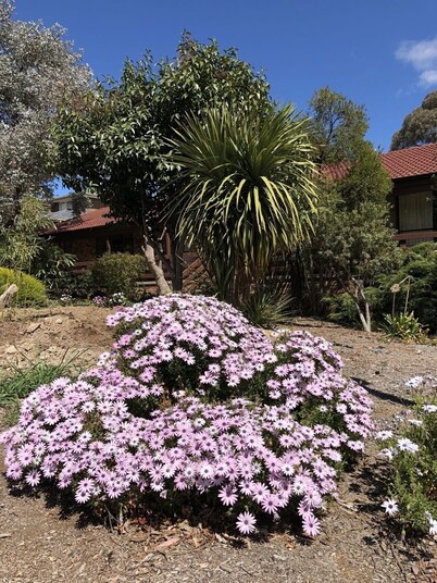 Hawker 4BR House(Air-Con, WiFi, Netflix, Parking)