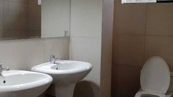 Combined shower/tub, bidet