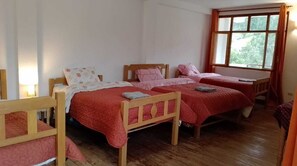 1 bedroom, WiFi - cozy room With garden view. (Huaraz)