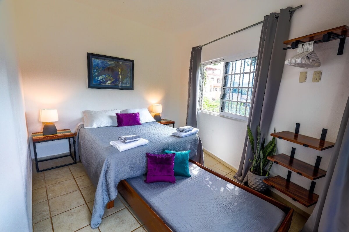 A hotel room with a bed, two bedside tables with lamps, a window with curtains, a plant, and a wooden shelf unit.