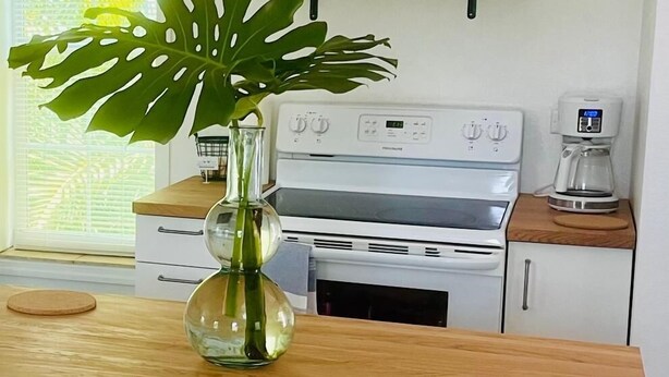 A kitchen with a white stove, a coffee maker, and a large green plant in a vase on the counter.