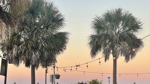 Un paseo marítimo con palmeras, luces colgantes y un cartel que dice 'VOTE'.