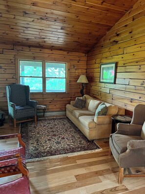 Smart TV, caminetto, libri, impianto stereo