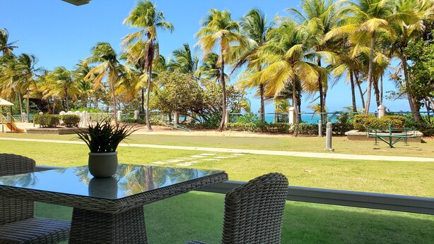 Un patio con mobiliario de mimbre, una mesa de vidrio y una planta en maceta.