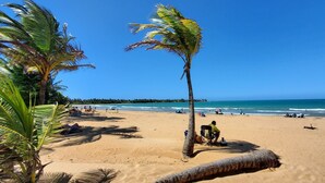 Una playa con palmeras, cielo azul despejado y el océano al fondo.