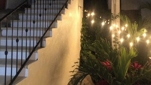 Una escalera con barandilla negra que conduce a una plataforma, rodeada de plantas y luces de cuerda.
