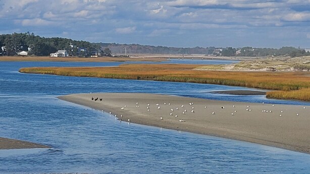 Eine Küstenlandschaft mit Sandstrand und ruhigem Fluss.