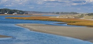 Playa en los alrededores, camastros y toallas de playa 