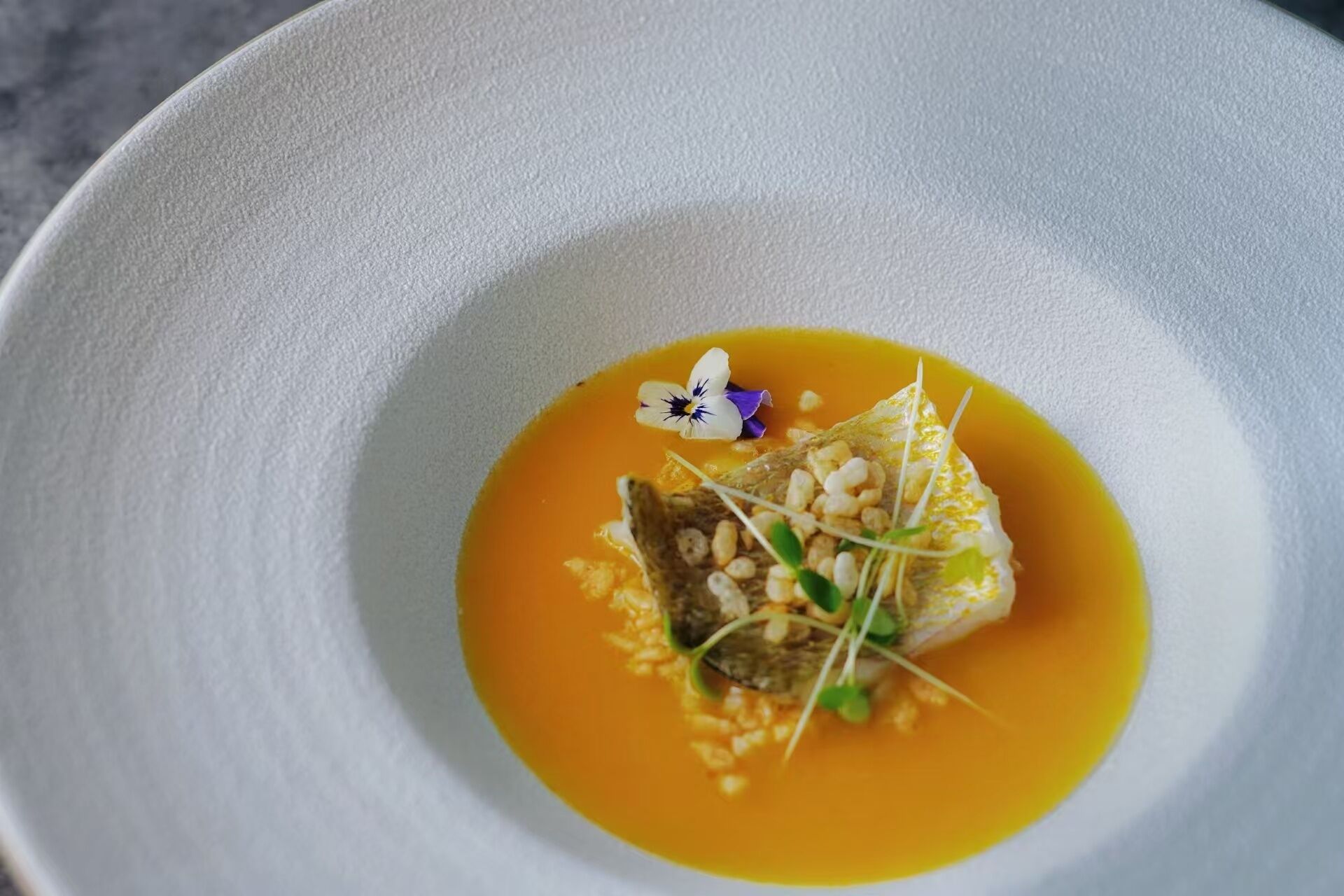 Un plato blanco con pescado, brotes y una flor.
