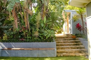 A garden with a concrete bench, stone steps, and various tropical plants.