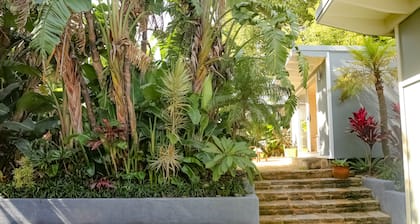 Sunny and modern villa located 5 mins walk from Avalon Beach!