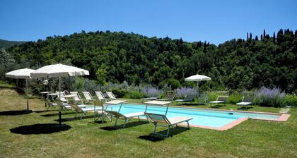 Il Bellini - Farmholiday Apartment Orciaia