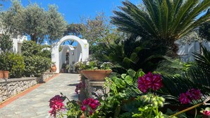 A stone pathway leading to an archway surrounded by potted plants and flowers. - Room-the Archi B&B Apartment (Anacapri)