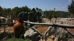 House, 2 Bedrooms, Smoking, Private Pool | Exterior - Il Trullo del Contadino - The Farmer's Trullo (Ostuni)