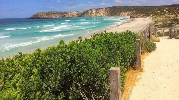 Ein Strand mit einem Sandweg, einem Holzzaun und grüner Vegetation.