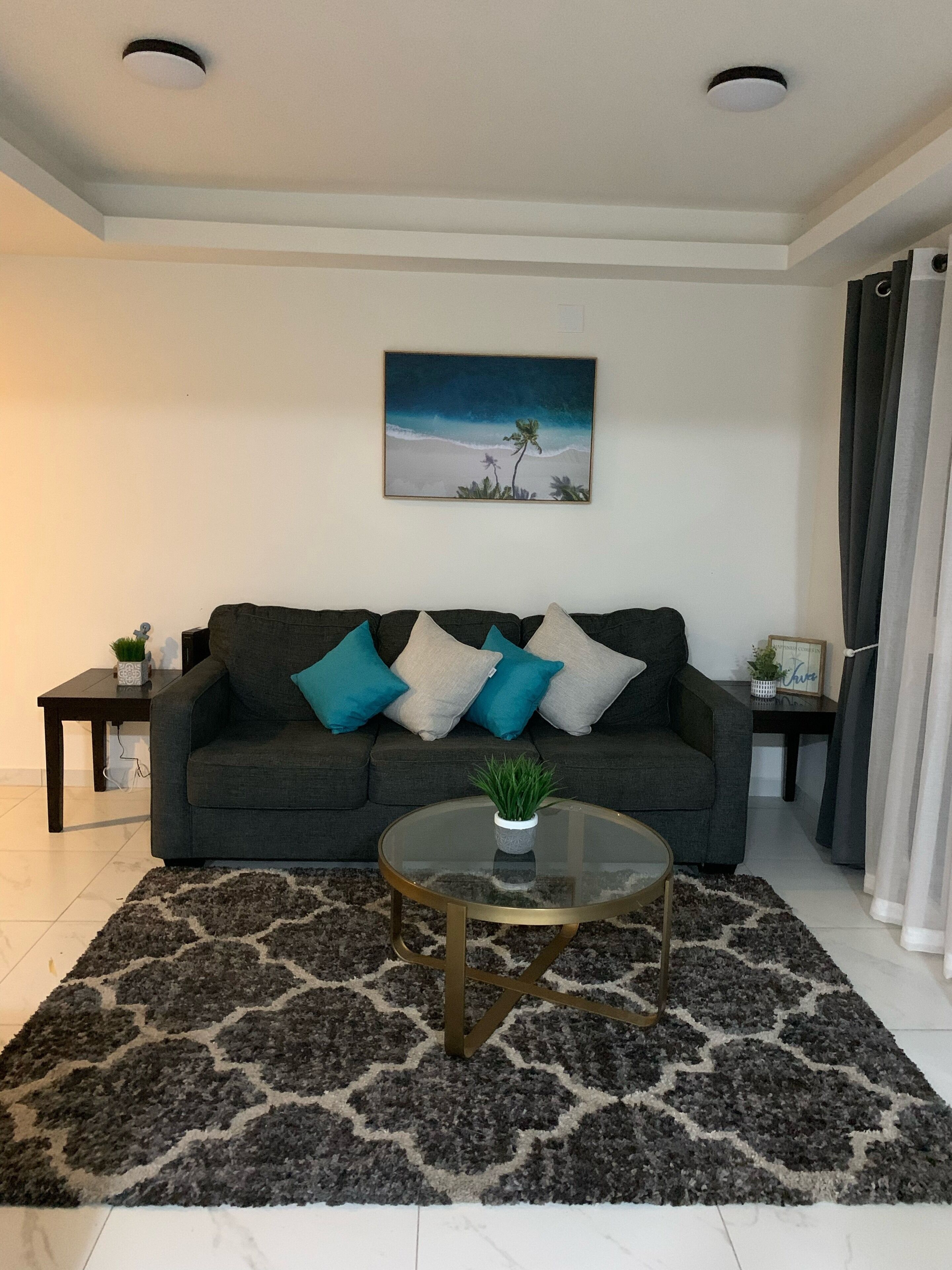 En stue med en mørkegrå sofa, puder i teal og hvid, et glas sofabord med en plante, og et maleri af en strandscene.