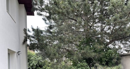 Nice 2 bedroom villa in the heart of Vitosha mountain, near city center of Sofia