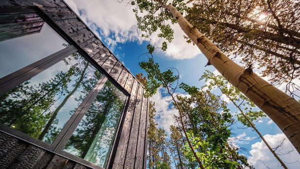 A modern building with large windows and a view of tall trees. - Black Spruce - Red Door  (Whitehorse)