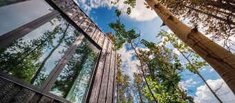 Black Spruce - Red Door 