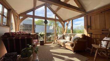 Una Smart TV, una chimenea, un reproductor de DVD, libros