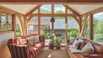 Smart TV, fireplace, DVD player, books