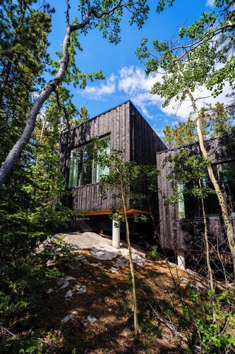 Black Spruce - Yellow Door