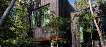 Black Spruce - Yellow Door