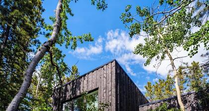 Black Spruce - Yellow Door