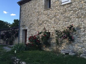 Exterior - Little paradise in Provence (Mane)