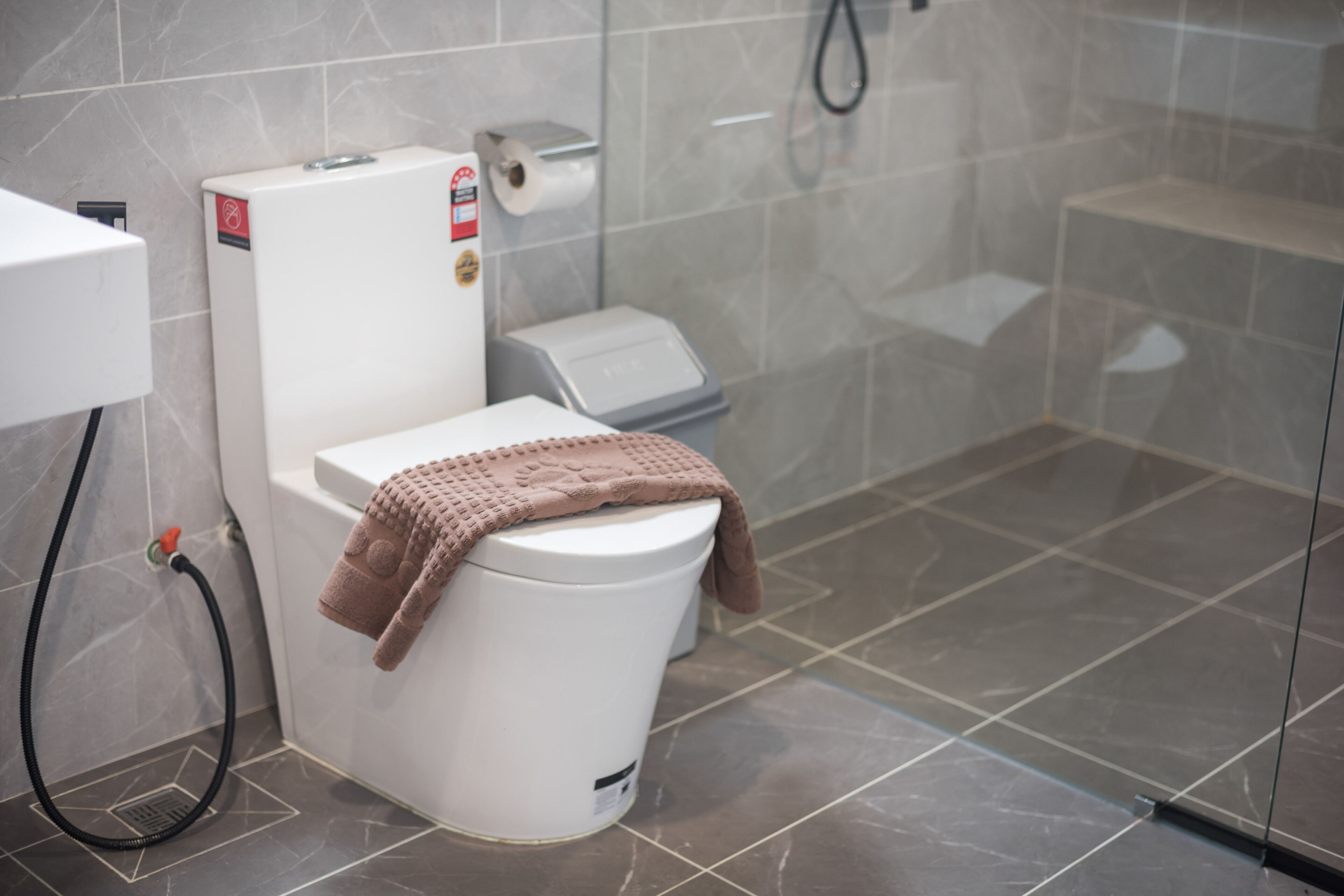 A modern bathroom with a toilet, a shower, and a toilet paper dispenser.
