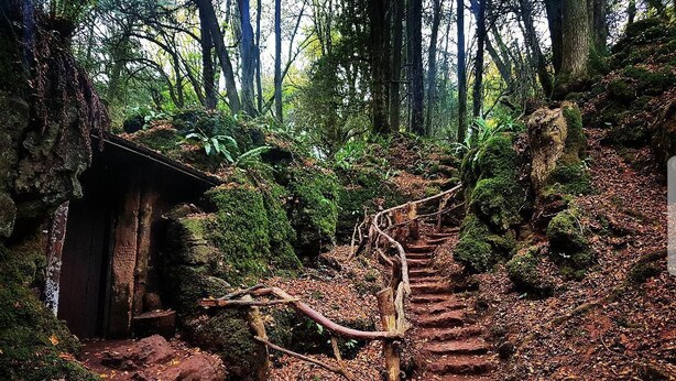 Uma área arborizada com uma escadaria de madeira que sobe uma encosta, cercada por árvores e pedras cobertas de musgo.