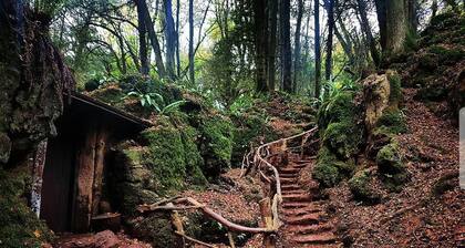 Stylish, Rural Apartment With Amazing Views