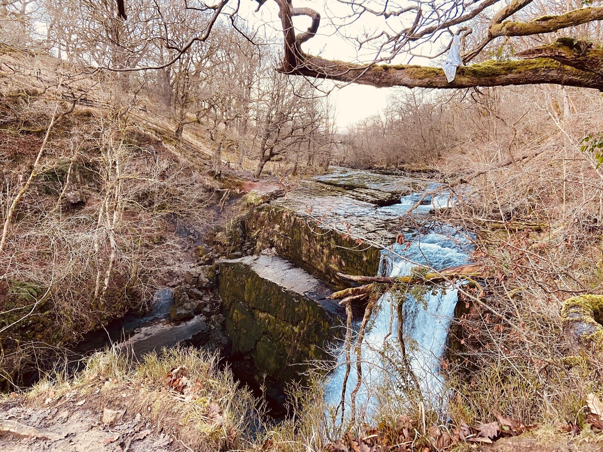 A stone bridge over a stream in a forested area.