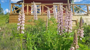 A wooden cabin with a metal roof, surrounded by tall flowering plants.