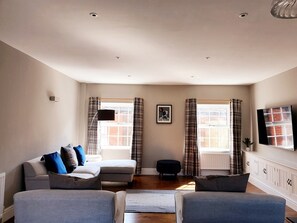 Smart TV, fireplace, books