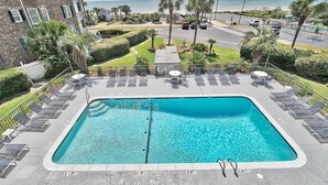 Una piscina rectangular con tumbonas y sillones, rodeada de jardines con palmeras y vistas a la playa.