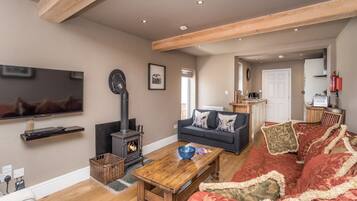 Smart TV, fireplace, DVD player
