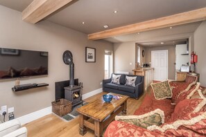 TV connectée, cheminée, lecteur de DVD