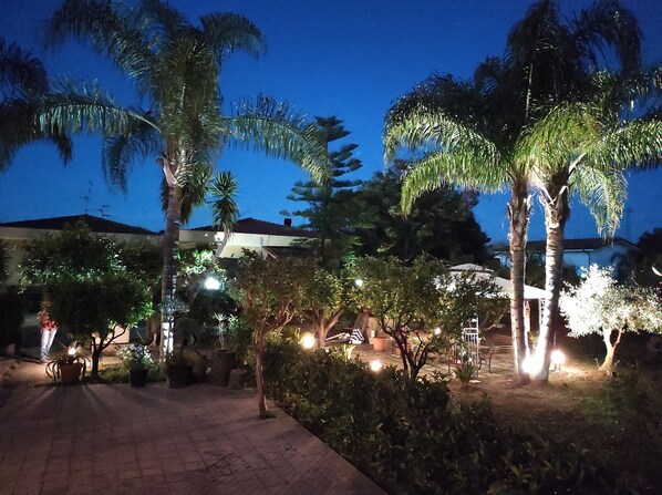 Espacio exterior nocturno con palmeras y plantas en macetas, iluminado con luz ambiental.