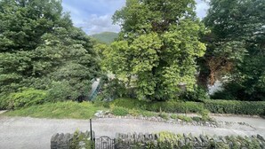 Un portail en pierre mène à un jardin luxuriant où poussent de nombreux arbres et arbustes.